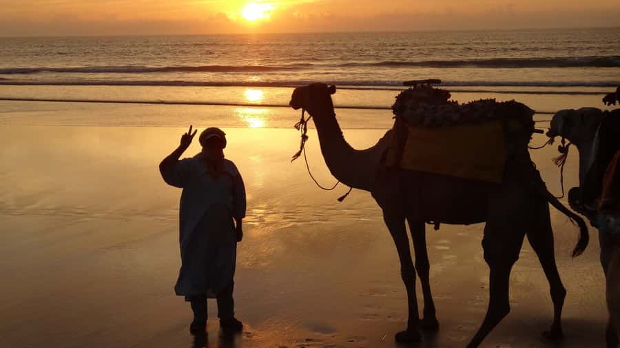 Essaouira: One Hour Dromedary Ride - The first steps across Diabat’s sandy countryside