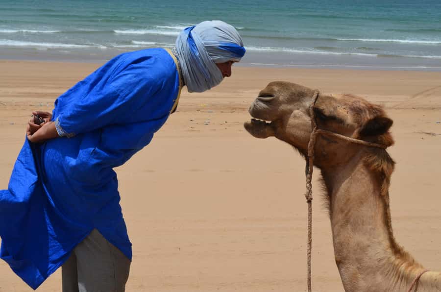 Essaouira: One Hour Dromedary Ride - Reaching the beach and Mogador Island