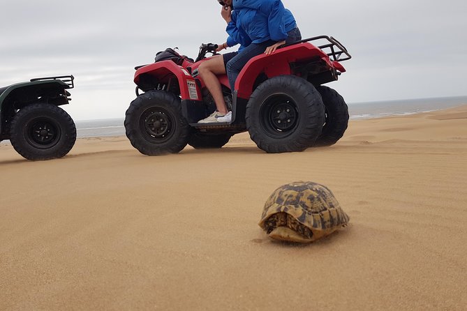 Essaouira: Pleasant Quad tour (free transfer) - Leaving Essaouira for the dunes