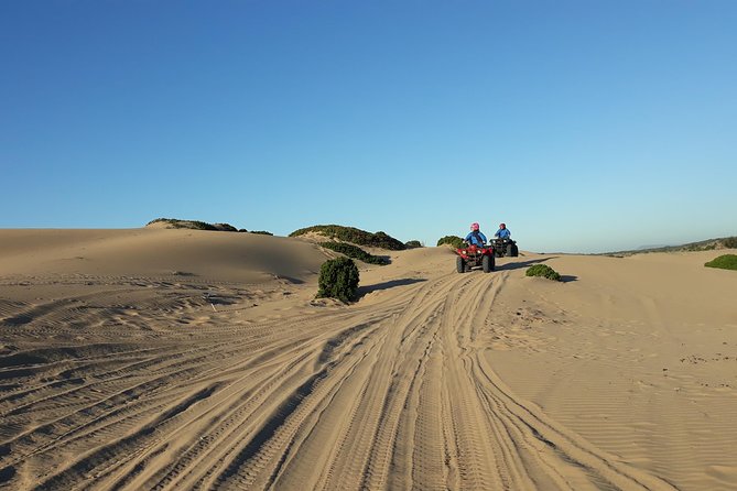 Essaouira: Pleasant Quad tour (free transfer) - Who will enjoy this ride most?