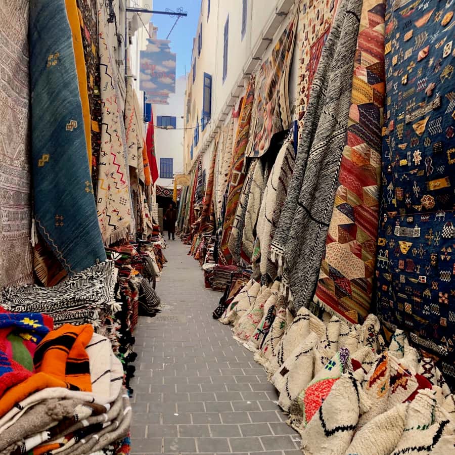 Essaouira: Private City Tour - A useful first look at Essaouira’s port