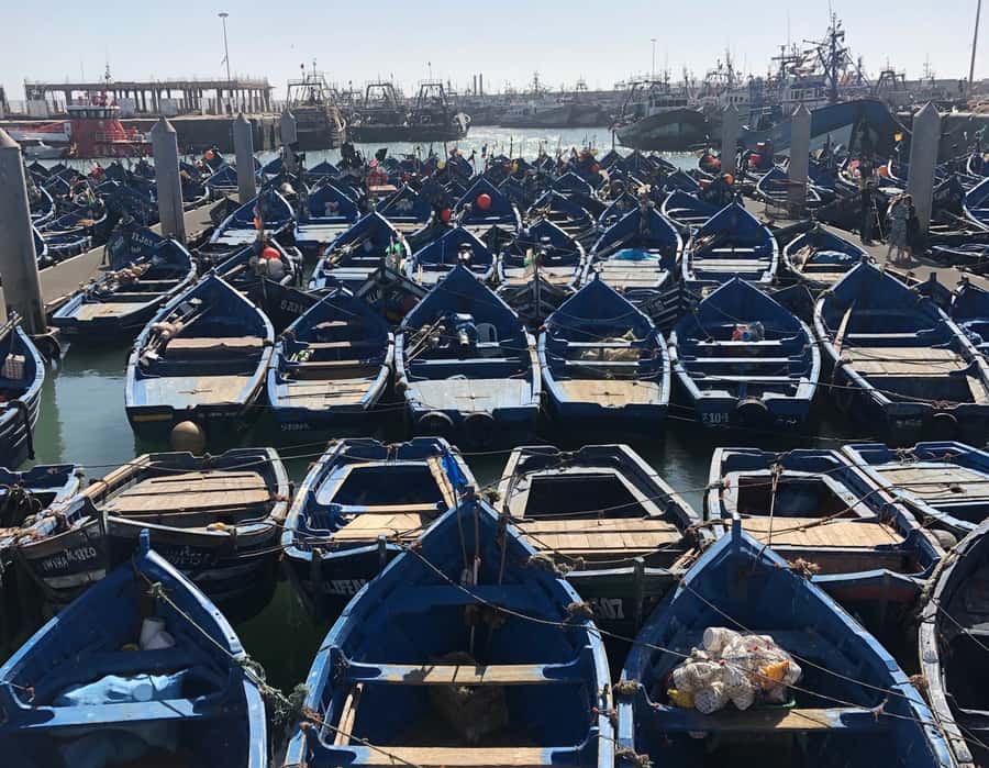 Essaouira: Private City Tour - Shop stops, spending, and how to keep the walk focused