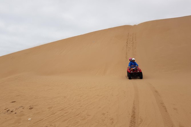Essaouira: Quad ride / family & friends (free transfer) - Across dunes, beaches, and argan trees
