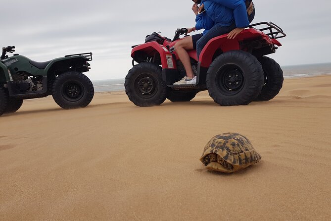 Essaouira: Quad ride / family & friends (free transfer) - Diabat and the Cap Sim coast