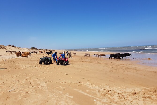 Essaouira: Quad ride / family & friends (free transfer) - Safety, clothing, and physical effort