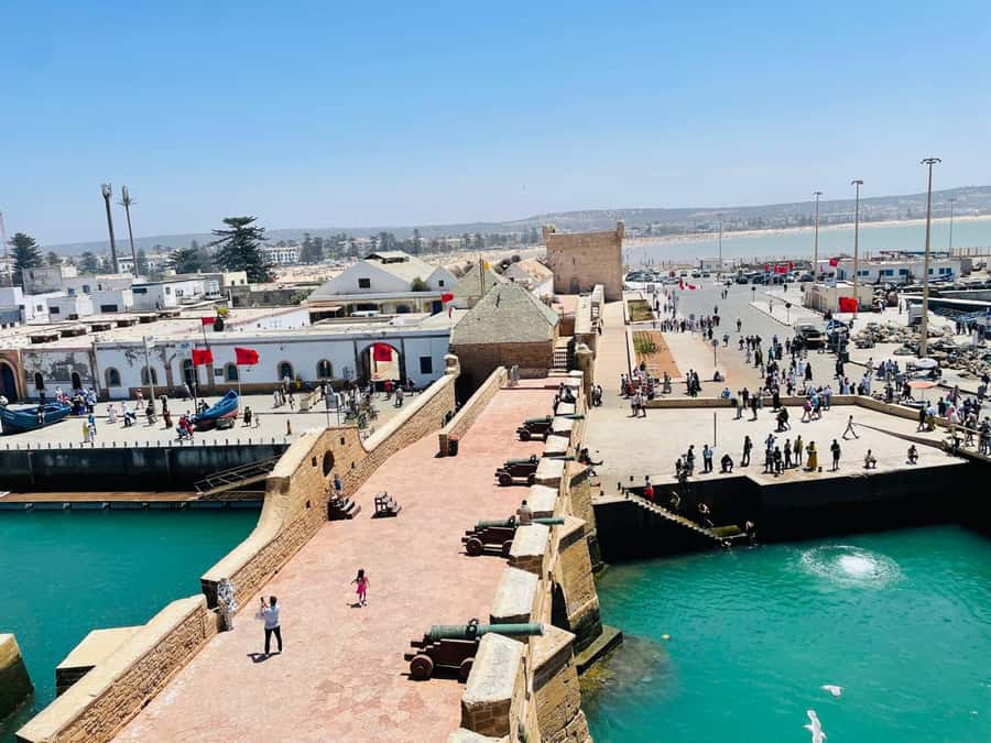 Essaouira: Sqala du Port, Citadel, Fish Market & Medina Tour - Key points to know before booking