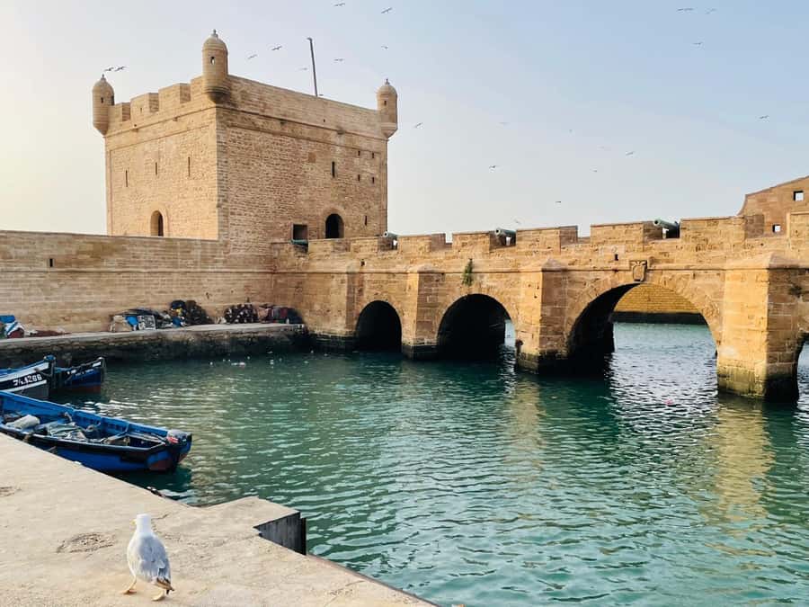 Essaouira: Sqala du Port, Citadel, Fish Market & Medina Tour - The fish market and the city at work