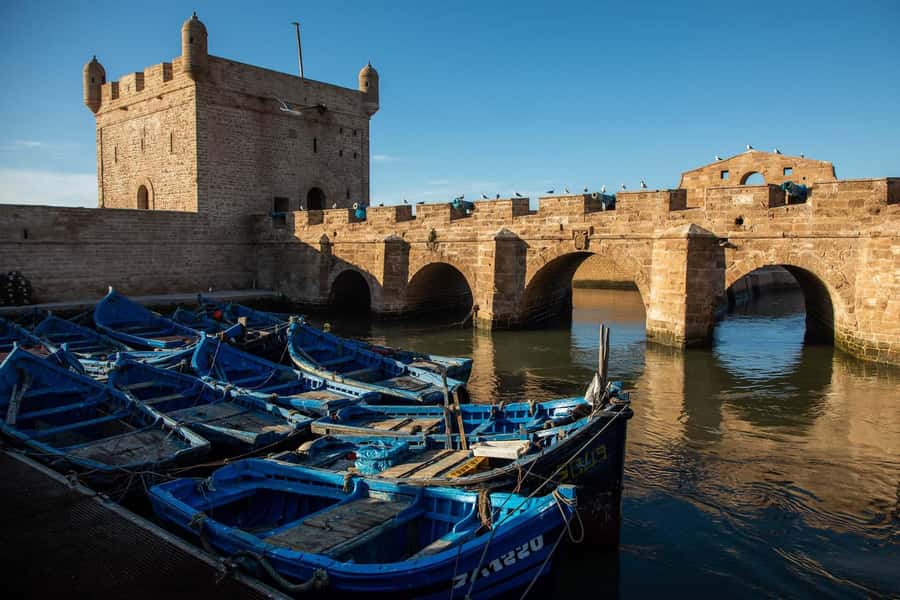 Essaouira: Sqala du Port, Medina Ramparts & Fish Market Tour - Pace, comfort, and who should choose it