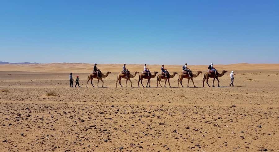 Evening Marrakech: Agafay Desert Quad , Camel & Dinner Shows - Is $23 good value?