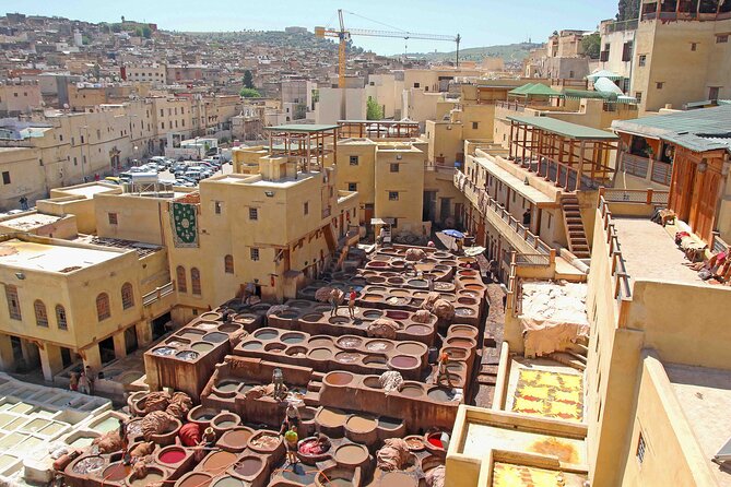 Exclusive Fez Medina Walking Tour with Private Guide - Rainbow Street and Fez’s newer creative side