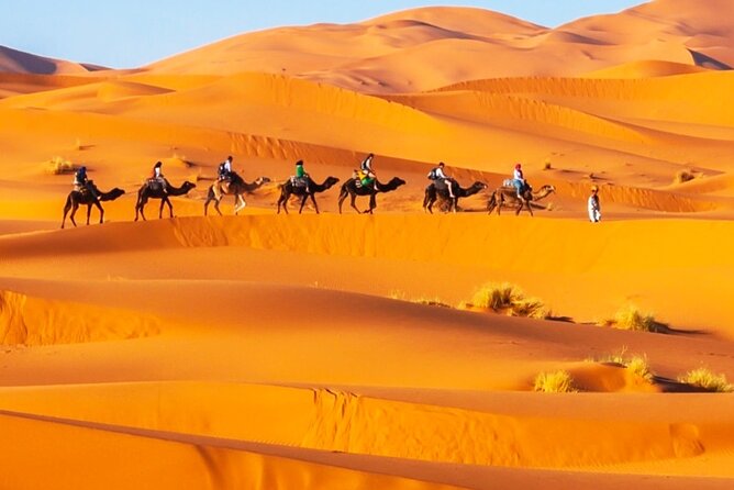 Exclusive Merzouga Desert Safari: Camel Ride, Sandsurf & Dinner - Dinner at the traditional desert camp