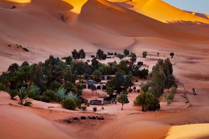 Exclusive Merzouga Desert Safari: Camel Ride, Sandsurf & Dinner - Sunrise and the return to Hassilabied