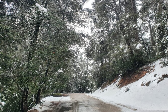 Excursion from Fez to Midle Atlas - Fitness, weather, and timing