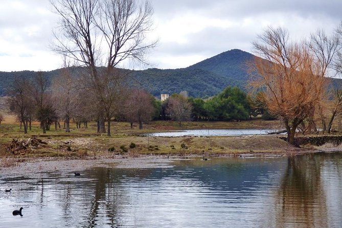 Excursion from Fez to Midle Atlas - Ifrane, Azrou, and the cedar forest