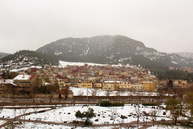 Excursion From Fez to the Middle Atlas Mountains - What private transport adds to the day
