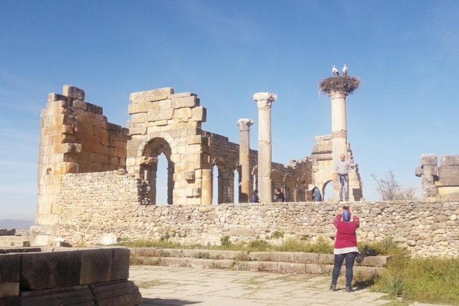 Excursion Meknes Volubilis - Booking, weather, and cancellation details
