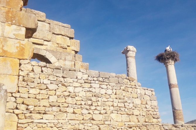 Excursion Meknes Volubilis - A glimpse of Moulay Driss