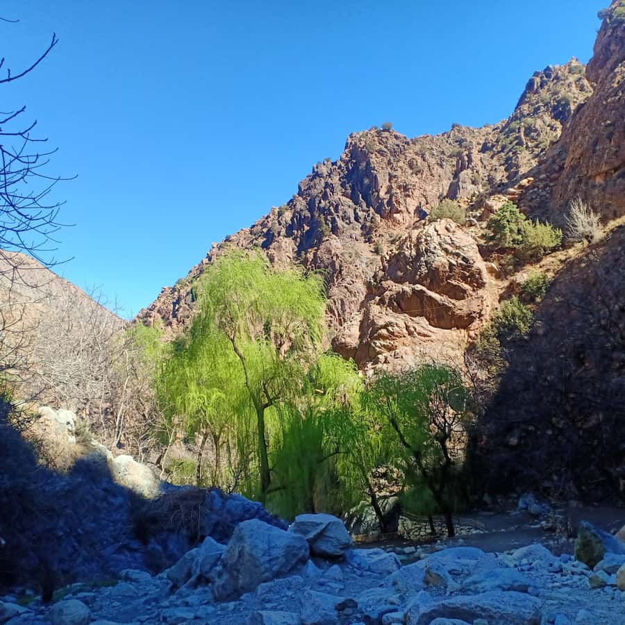 Excursion Ourika valley and atlas mountains with Lunch - Guides can shape the whole day