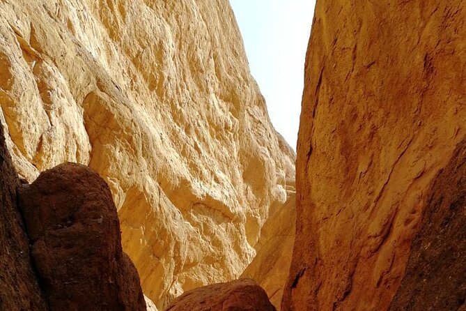 Excursion to Gorge Dades and Canyon Fingers of Monkey Morocco - Birds, Plants, and Valley Farms