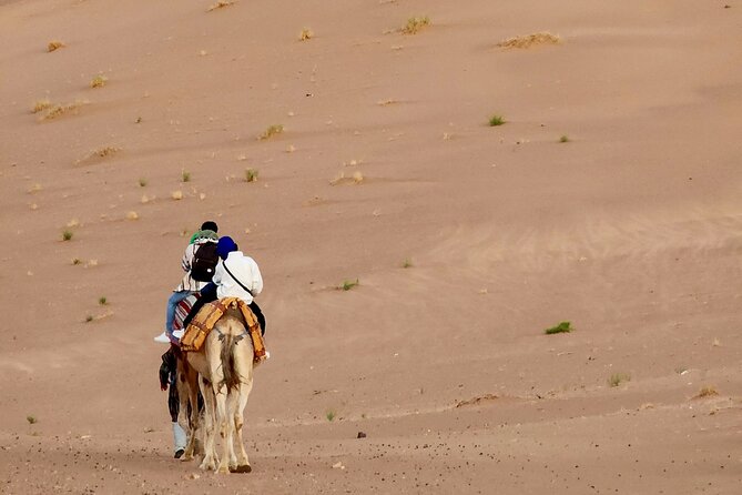 Experience Luxury in Zagora: 2-Day Desert Adventure - Tizi n Tichka and the High Atlas views