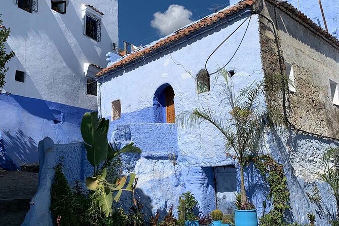 Explore chefchaouen like a local - Bouzafer Mosque for the broadest view