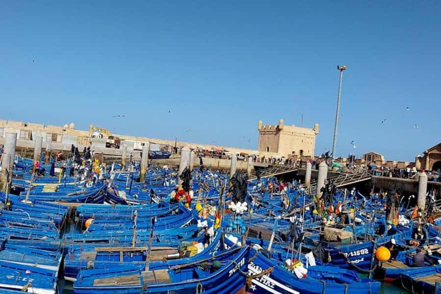 Explore Essaouira's Secrets: A Guided Tour with a Local! - Starting at the harbor and Moulay Hassan Square