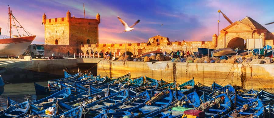 Explore Essaouira's Secrets: A Guided Tour with a Local! - Walking the UNESCO medina for 40 minutes
