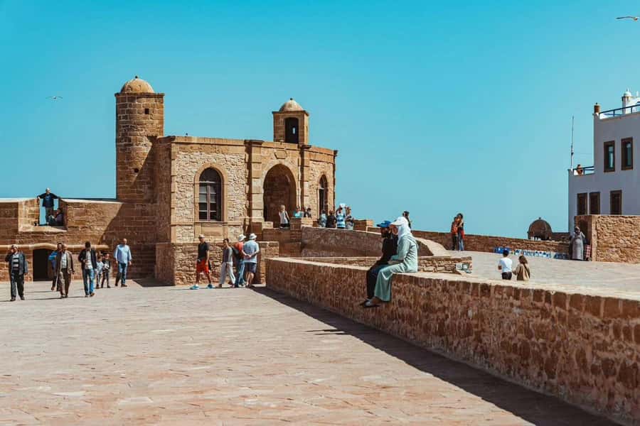 Explore Essaouira's Secrets: A Guided Tour with a Local! - Lunch, seafood, and the question of what is included