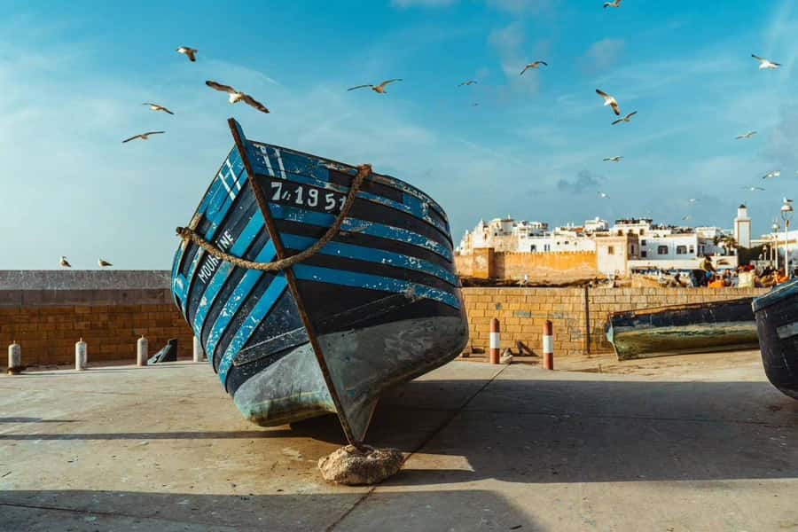 Explore Essaouira's Secrets: A Guided Tour with a Local! - The hammam promise needs a clear question
