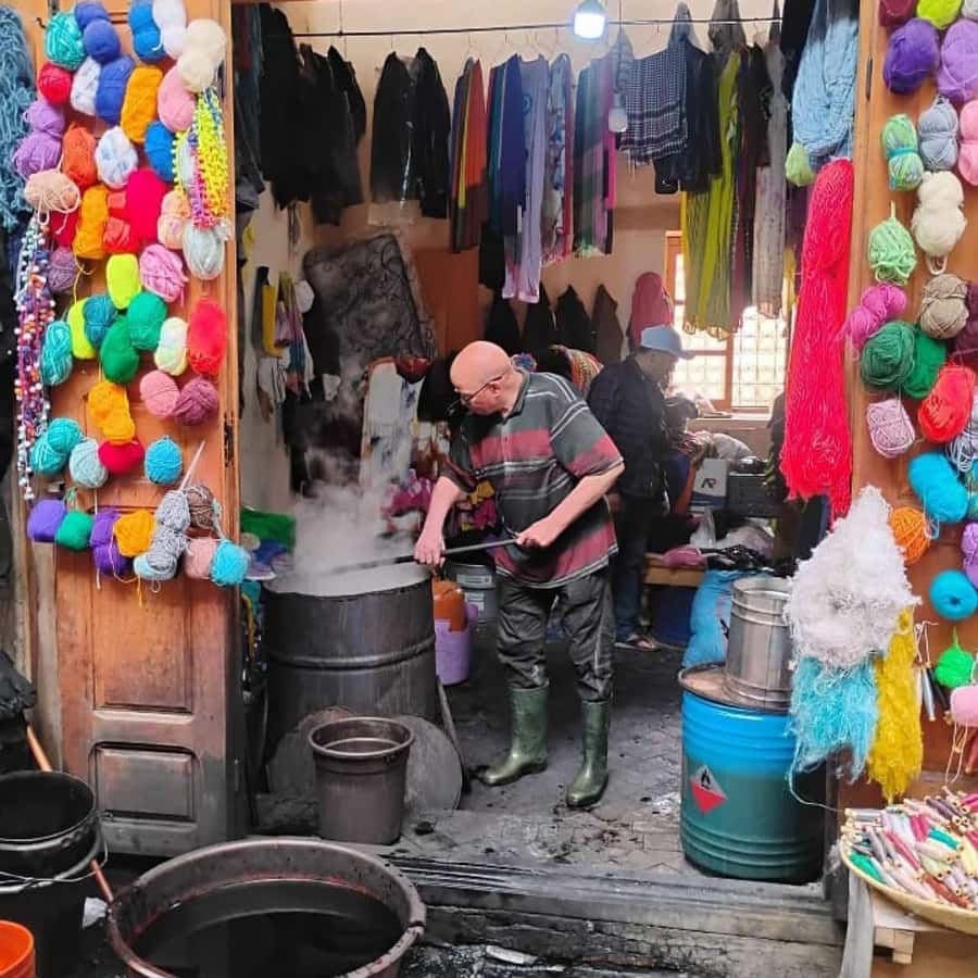 Explore Fes: Unforgettable Guided Walking Tour of the Medina - Entering the medieval streets