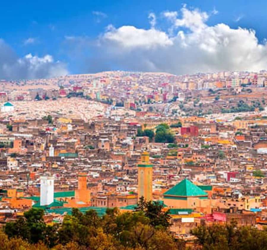 Explore Fes: Unforgettable Guided Walking Tour of the Medina - The tanneries: the most memorable stop for many people