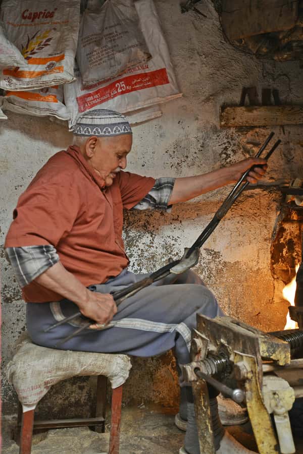Explore Fes: Unforgettable Guided Walking Tour of the Medina - Madrasas, libraries, and buildings you might miss