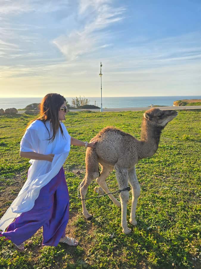 Explore Tangier: Cap Spartel, Cave, & Camel Ride Adventure - Why this three-hour Tangier trip works