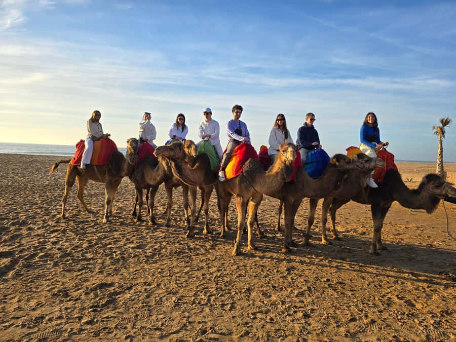 Explore Tangier: Cap Spartel, Cave, & Camel Ride Adventure - Guide quality, languages, and group feel