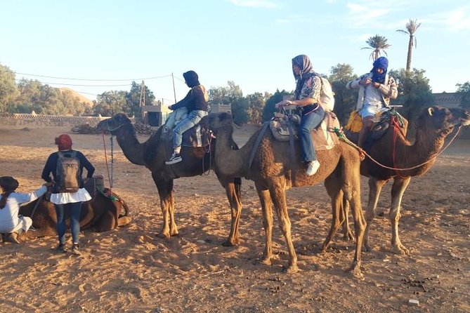 Fes desert tours 2 days - What the private vehicle adds