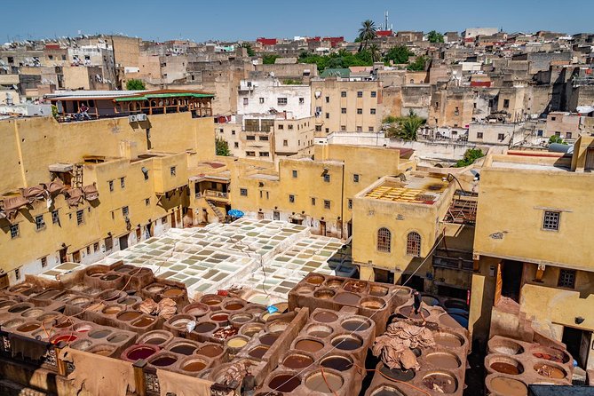 Fes Guided Tours Full Day - A smart introduction to Fes in one day