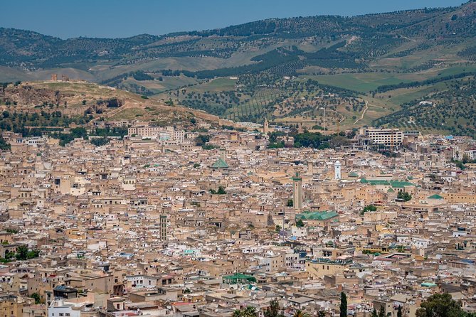 Fes Guided Tours Full Day - The Royal Palace and Fes’s historic Mellah
