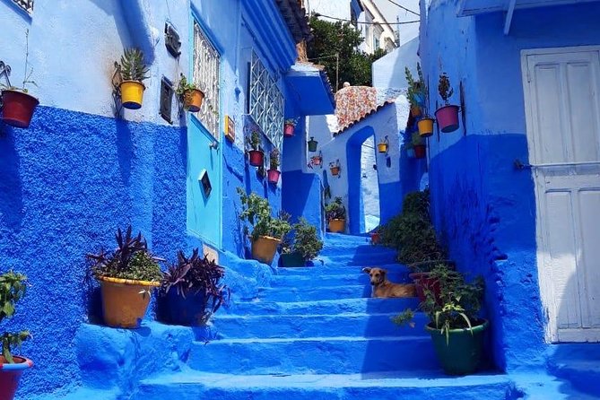 Fes to Chefchaouen Day Trip - Why Chefchaouen works as a day trip from Fes
