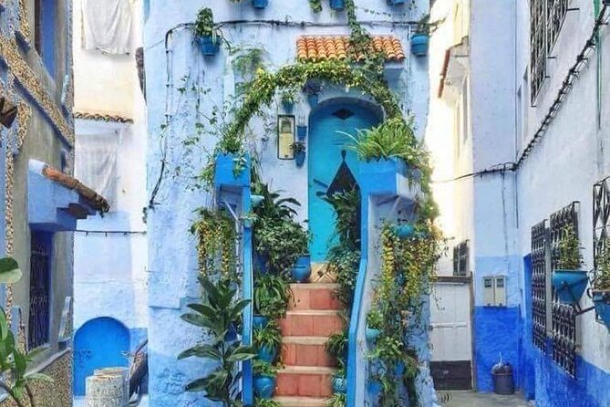 FES TO Chefchaouen Day Trip- luxury Private Tour - The Drive Through the Rif Foothills