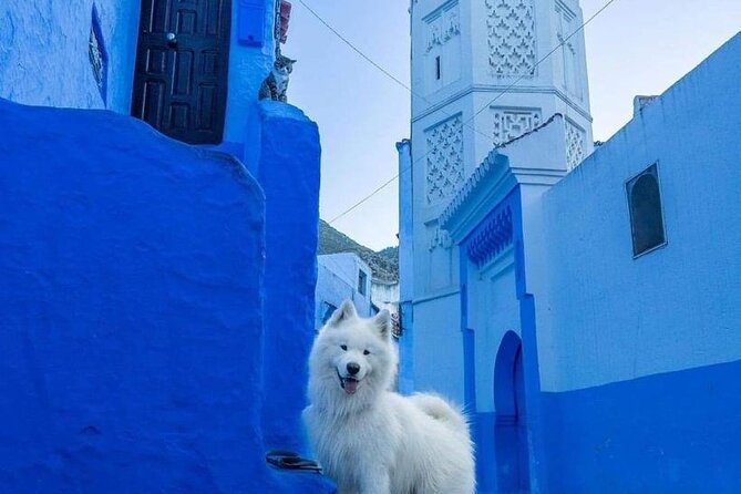 FES TO Chefchaouen Day Trip- luxury Private Tour - The Evening Return to Fes