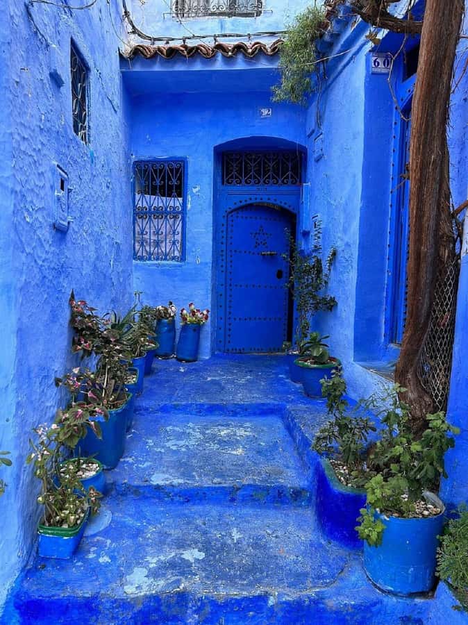 Fes to Chefchaouen Day Trip multi languages(EN/FR/ES/IT/AR) - Key points to know before booking
