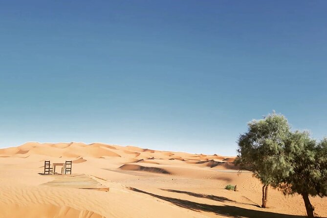 Fes to Desert journey through the heart of Morocco - Leaving Fes through Ifrane and the Middle Atlas
