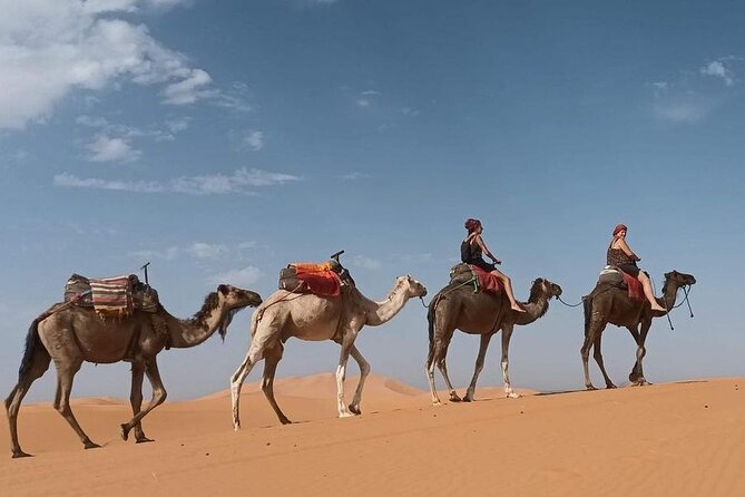 Fes to Desert journey through the heart of Morocco - A night in Ouarzazate before Ait Ben Haddou
