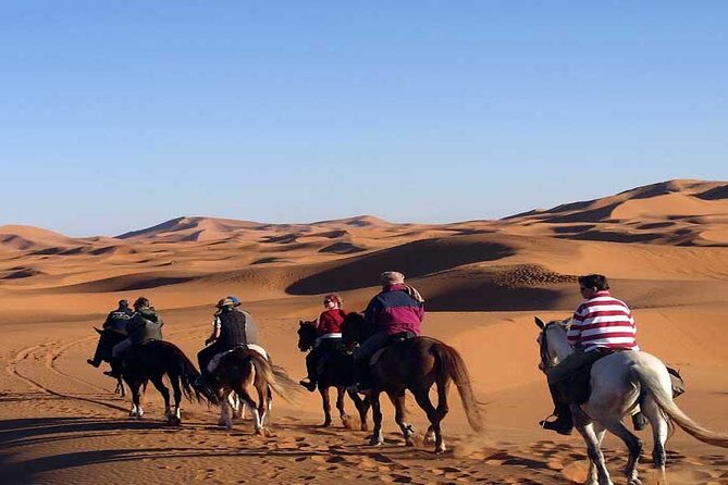 Fes to Fes 2 days via Merzouga desert tour - Walking through Azrou’s cedar forest