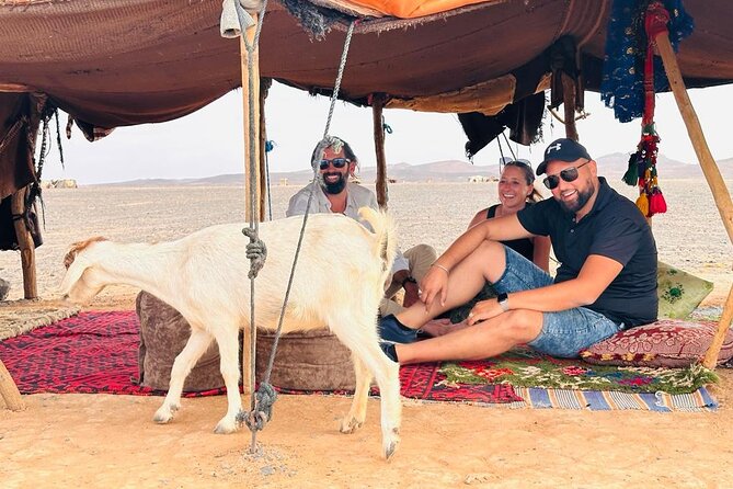 Fes to Fes Private Desert tour 1-night 2-Day Tour luxury camps - Fez to Ifrane: a sharp change in scenery