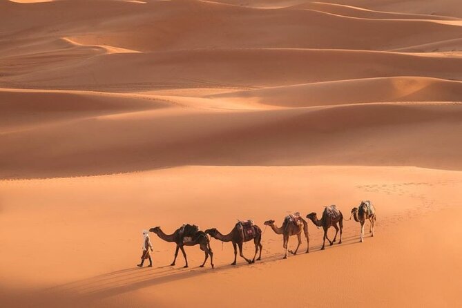 Fes To Marrakech: 3-Day Desert Tour - Day two: sunrise, Rissani, Erfoud, and Todra Gorge
