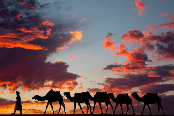 Fes To Marrakech: 3-Day Desert Tour - Transport, meals, and the real cost