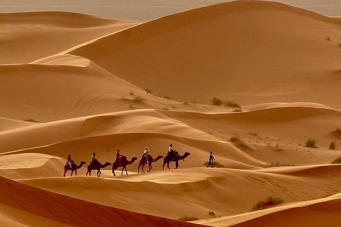 Fes To Marrakech: 3-Day Desert Tour - Who should book this desert tour?