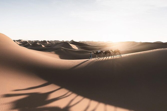 Fes To Marrakech: 3-Day Desert Tour - Practical advice for a smoother three days