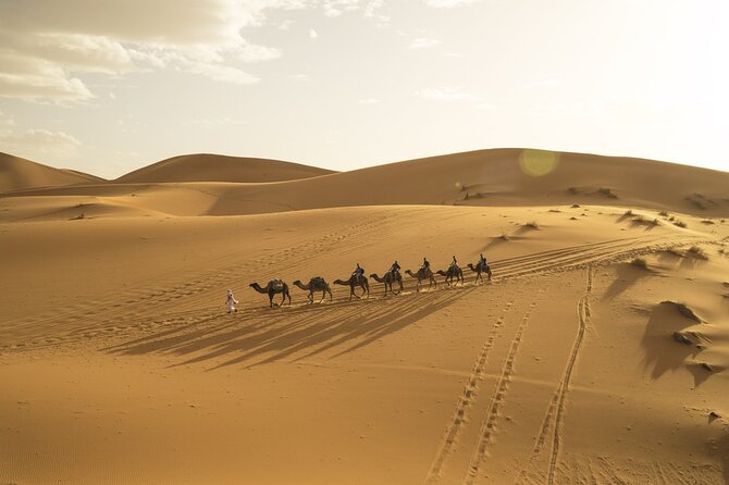 Fes to Marrakech 3 Days Desert Tour - Sunrise, Rissani, and the Todra Gorge